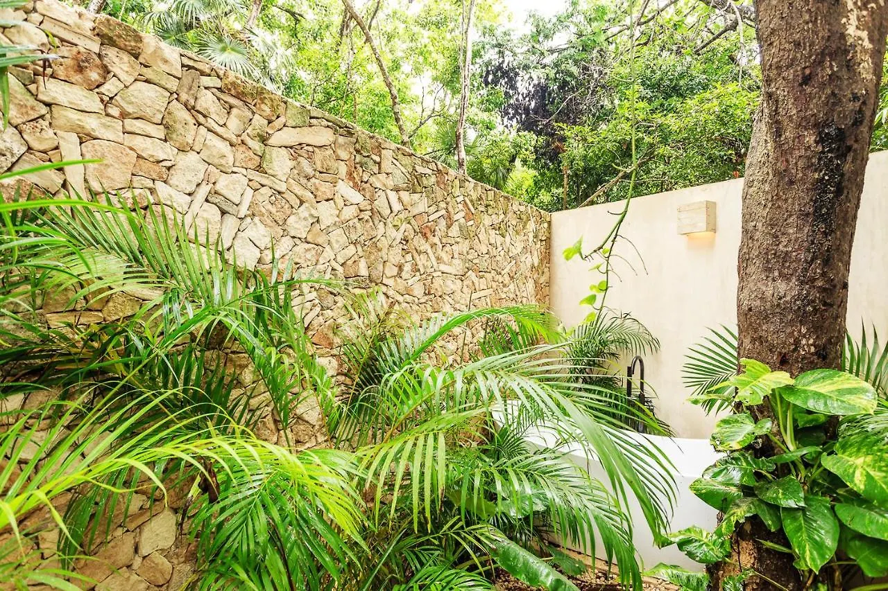 Yaxte Maya By Moskito 0*, Tulum Mexique